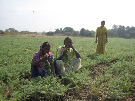 Symbiotic Relationship Between Ayurveda and Nature